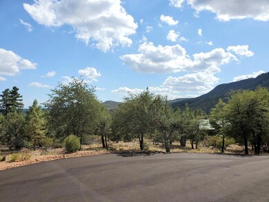 148 Buffalo Run, Pine, AZ 85544 - photo 2