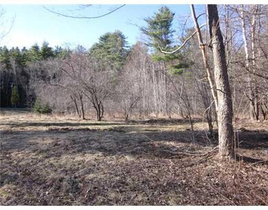 Land. old apple trees