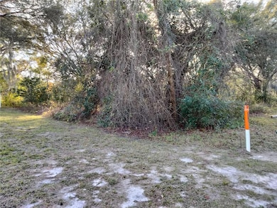 0 Sheeler Oaks Dr unit MFRO6337662, Apopka, FL 32703 - photo 2