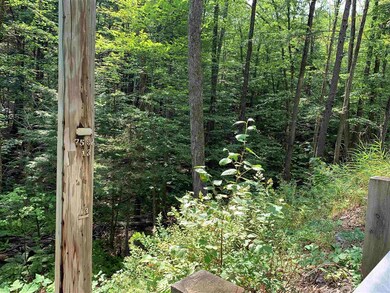 0 Halls Brook Rd unit 29, East Hebron, NH 03241 - photo 4