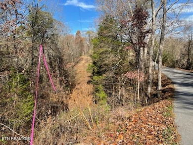 0 Happy Hollow Ln unit 1273078, Sevierville, TN 37876 - photo 3