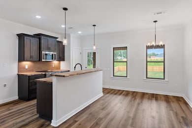 1001 N Red St, Sheridan, AR 72150 - photo 3