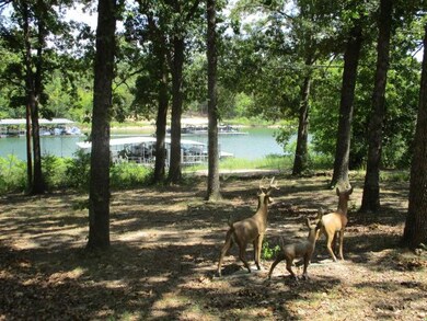 240 Quiet Ln, Shell Knob, MO 65747 - photo 3