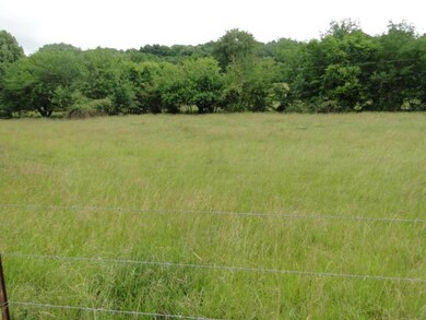 0 Old Center Church Rd, Shelbyville, TN 37160 - photo 5