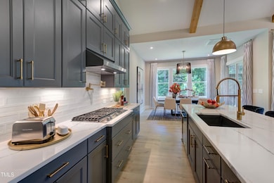 TBRD_0001-00_Parkette D_Kitchen-10