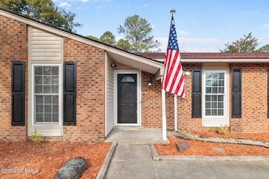 522 E Springhill Terrace, Jacksonville, NC 28546 - photo 7