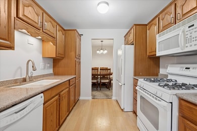 1010 E Glavin Ct unit 1807, Palatine, IL 60074 - photo 6