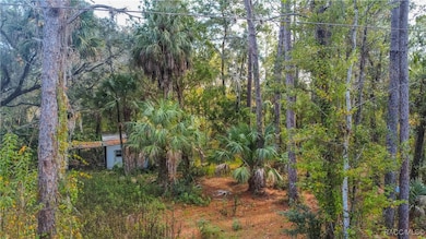 419 N Florene Point, Crystal River, FL 34429 - photo 3