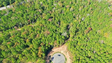 25219 Chisos Bend, Montgomery, TX 77316 - photo 4