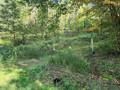 L16.1&16.7 Valley Summit Rd, Greenwich, NY 12834 - photo 3