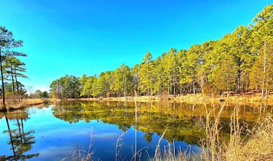 20288 State Highway 63, Hogen, OK 74939 - photo 2