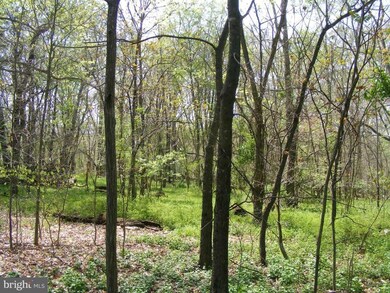 0 Meander Run Rd unit 1000402377, Madison, VA 22727 - photo 7