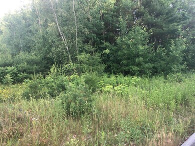 13 Eastfield Dr, Gray, ME 04039 - photo 3