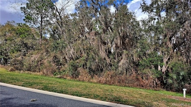 2293 N Heritage Oaks Path, Hernando, FL 34442 - photo 2