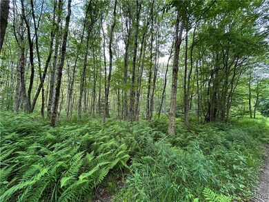 0 Kimball Camp Rd unit S1622094, Orwell, NY 13426 - photo 6