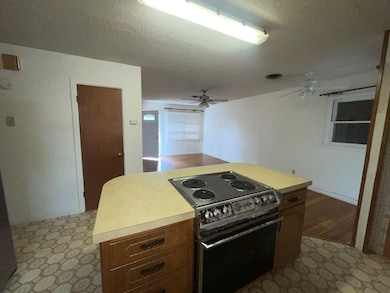 306 Laurel Dr, Winters, TX 79567 - photo 4