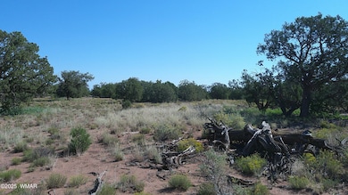4434 Indian Bend Rd, Snowflake, AZ 85937 - photo 2