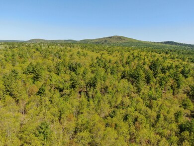 DJI_0529