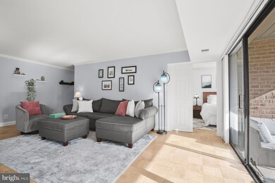 11419 Commonwealth Dr unit 301, Rockville, MD 20852 - photo 5