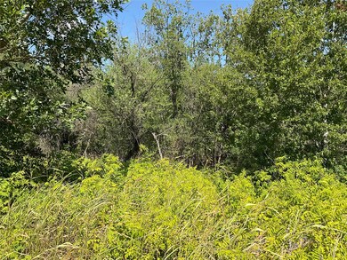 77A North St, Cuero, TX 77954 - photo 5