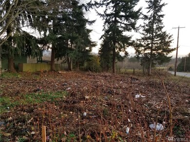 10202 255th St E, Graham, WA 98338 - photo 6