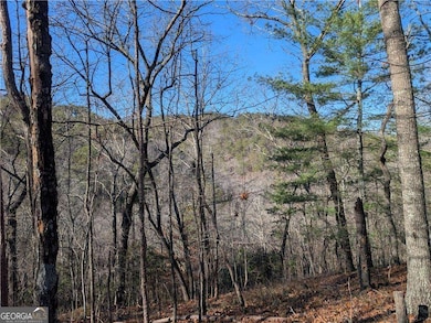 1400 Foxhound Trail NE, Ranger, GA 30734 - photo 2