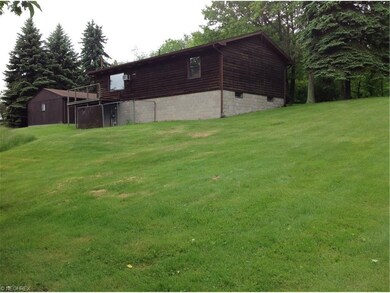 Beautiful back yard