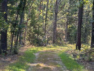 22019 State Highway K, Falcon, MO 65470 - photo 4