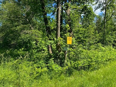 XXX Stevens Rd, Onamia, MN 56359 - photo 5