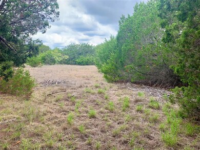 18183 Wildwood Dr, Whitney, TX 76692 - photo 3