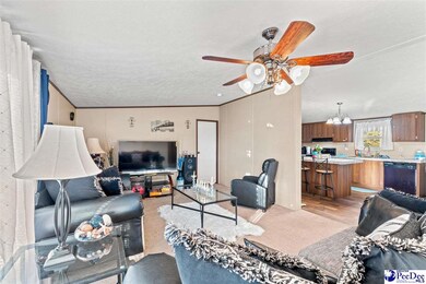 1115 Cartrell Brown Dr, Marion, SC 29571 - photo 4