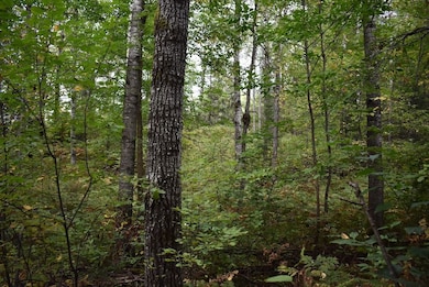 0 Dream Lake Rd unit LotWP002, Tipler, WI 54542 - photo 4