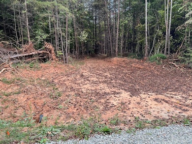 42.9 AC Brandon Rd, Chatham, VA 24531 - photo 4