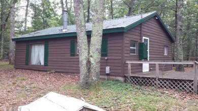 9287 W Hillcrest Blvd, Baldwin, MI 49304 - photo 3