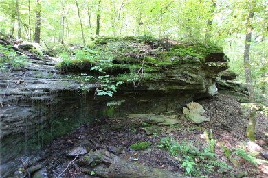 0 Mc 5190 unit 1126222, Wesley, AR 72727 - photo 5