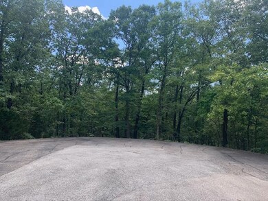 Tbd James River Rd, Kimberling City, MO 65686 - photo 6