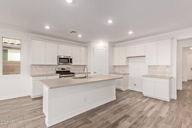 2973 E Mecklenburg Way, San Tan Valley, AZ 85143 - photo 7