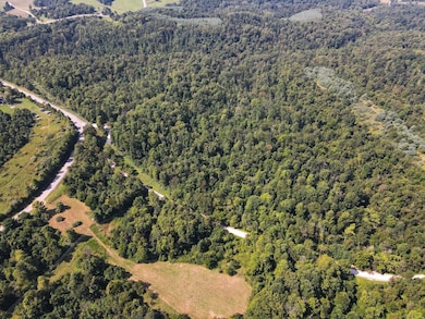 0 Crooked Tree Rd, Dexter City, OH 45727 - photo 3