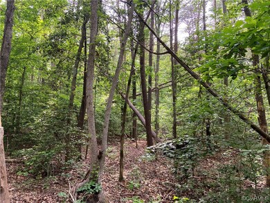 0 Jefferson Hwy unit 2315353, Mineral, VA 23117 - photo 3