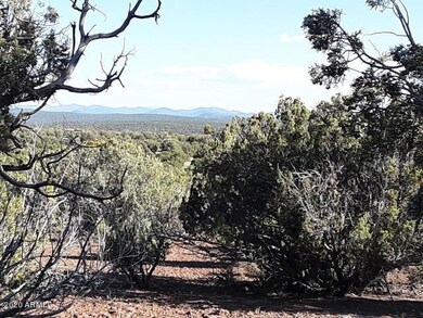 20200818045735687540000000-o