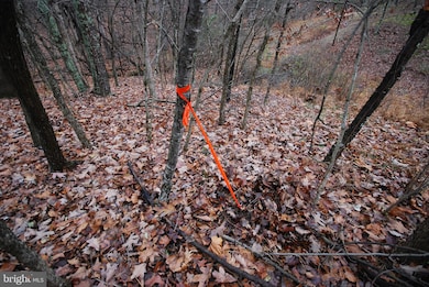 Lot 29 & 30 Staubwoods Dr, Romney, WV 26757 - photo 2