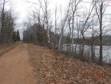 W9875 Cth J, Deerbrook, WI 54424 - photo 6