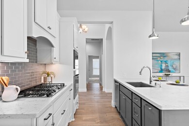 3806 Lake Falls Dr, Fulshear, TX 77441 - photo 7