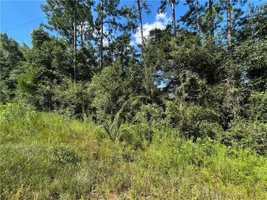 0 Liatrus Ln unit 7644973, Seminole, AL 36574 - photo 7