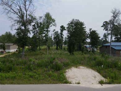 12571 County Road 37494, Cleveland, TX 77327 - photo 2