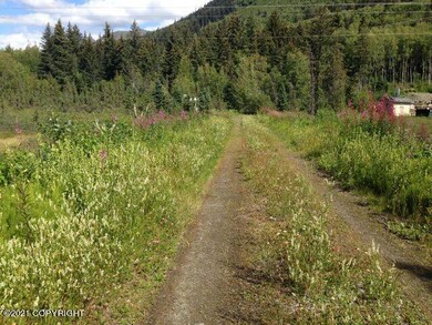 Mile 100 Seward Hwy.