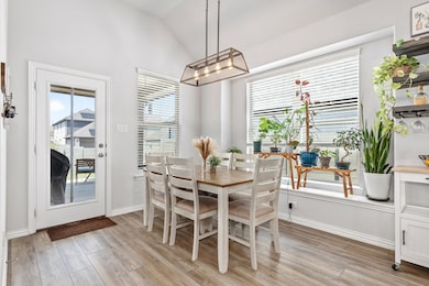 716 Lamp Post Ln, Argyle, TX 76226 - photo 7