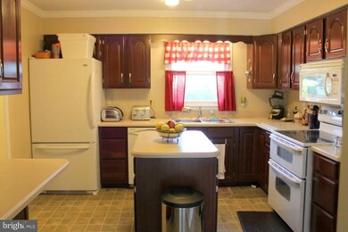 207 Brandylion Dr, Stephens City, VA 22655 - photo 3