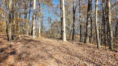 586 Nibert Rd unit (Ponds Poplar Ridge, Gallipolis, OH 45631 - photo 7