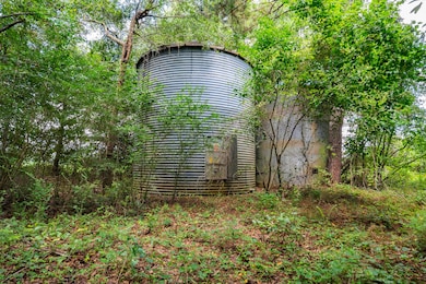 0 Loven Mill Rd, Richland, GA 31825 - photo 4